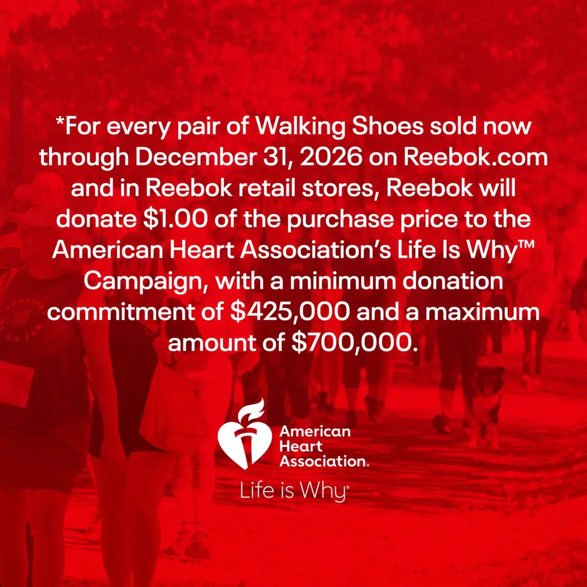 Chaussures Active Lite Chaussures Active Lite