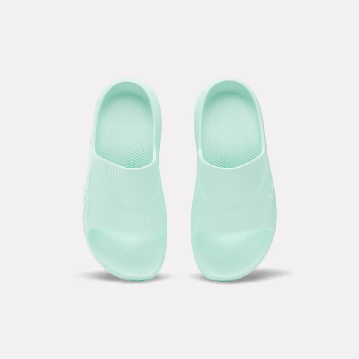 DMX Recovery Slides DMX Recovery Slides